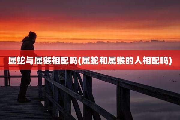 属蛇与属猴相配吗(属蛇和属猴的人相配吗)