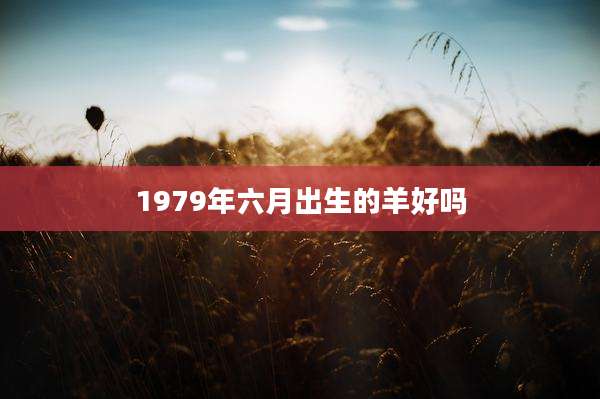 1979年六月出生的羊好吗