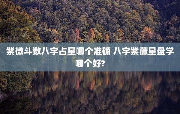紫微斗数八字占星哪个准确 八字紫薇星盘学哪个好?