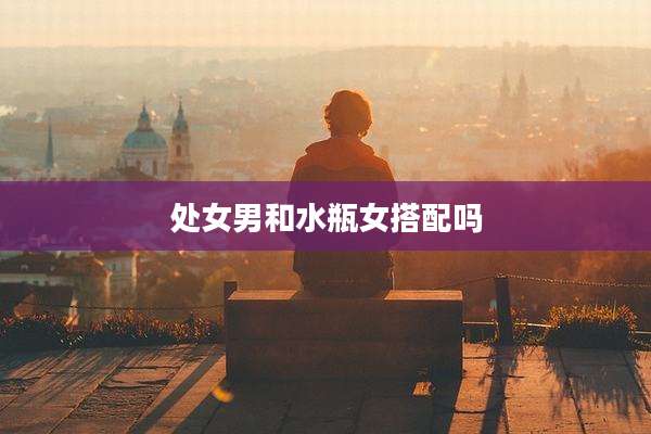 处女男和水瓶女搭配吗