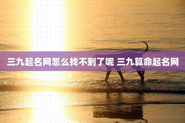 三九起名网怎么找不到了呢 三九算命起名网
