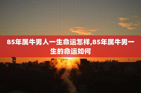 85年属牛男人一生命运怎样,85年属牛男一生的命运如何