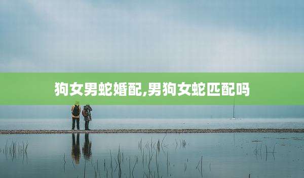 狗女男蛇婚配,男狗女蛇匹配吗