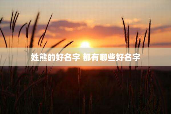 姓熊的好名字 都有哪些好名字