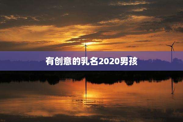 有创意的乳名2020男孩