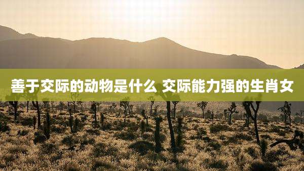 善于交际的动物是什么 交际能力强的生肖女