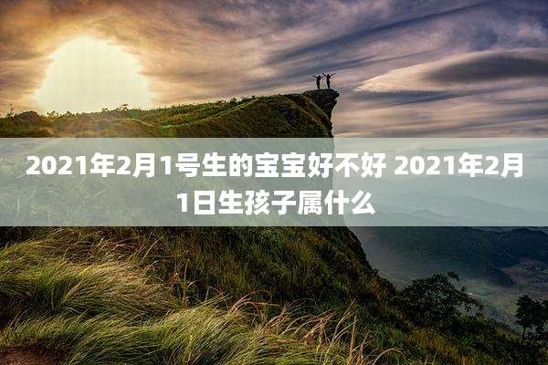 2021年2月1号生的宝宝好不好 2021年2月1日生孩子属什么