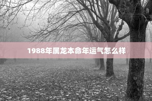 1988年属龙本命年运气怎么样
