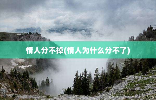 情人分不掉(情人为什么分不了)