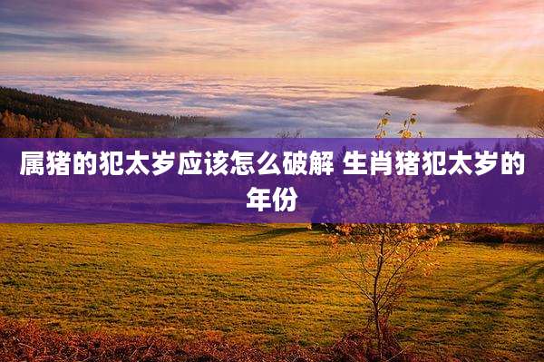 属猪的犯太岁应该怎么破解 生肖猪犯太岁的年份