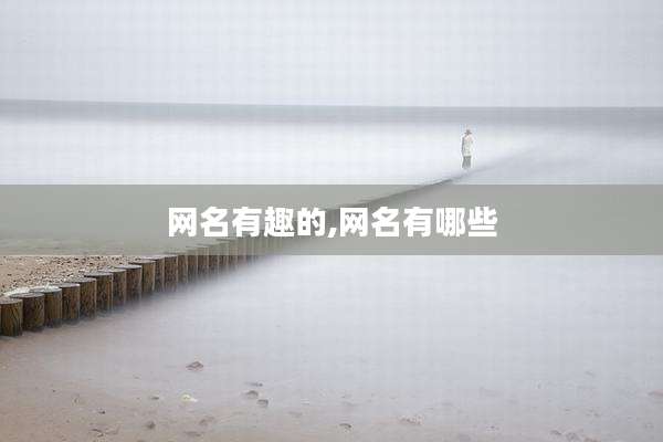 网名有趣的,网名有哪些