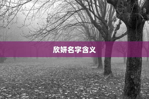 欣妍名字含义