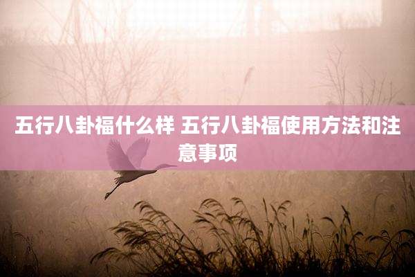 五行八卦福什么样 五行八卦福使用方法和注意事项