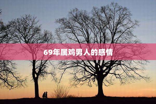 69年属鸡男人的感情