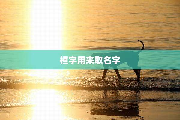 桓字用来取名字