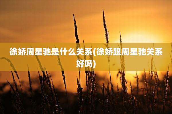 徐娇周星驰是什么关系(徐娇跟周星驰关系好吗)