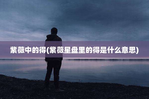 紫薇中的得(紫薇星盘里的得是什么意思)