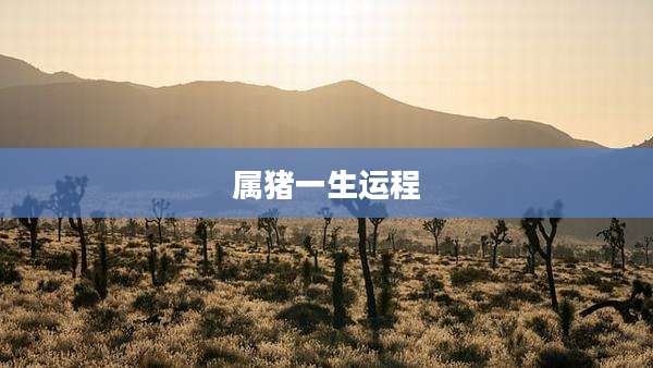 属猪一生运程