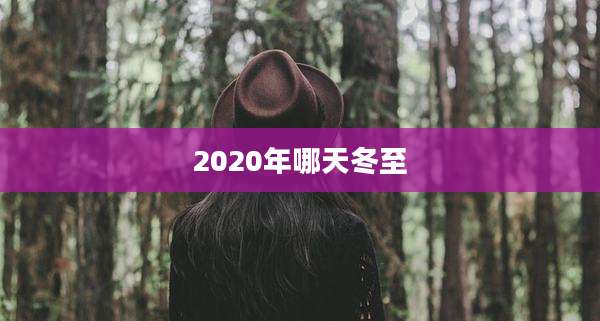 2020年哪天冬至