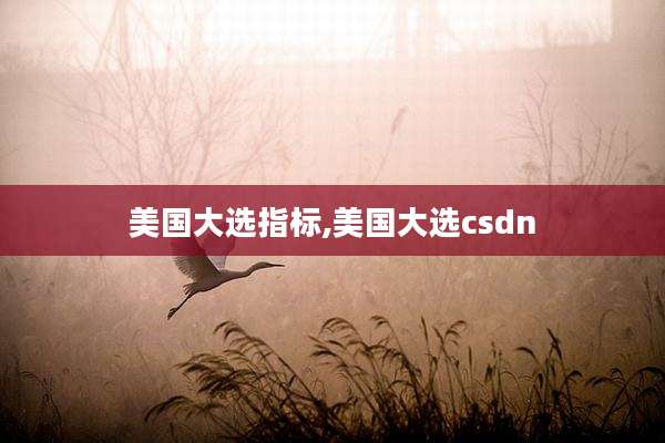美国大选指标,美国大选csdn