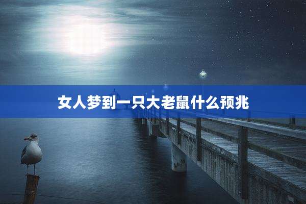 女人梦到一只大老鼠什么预兆