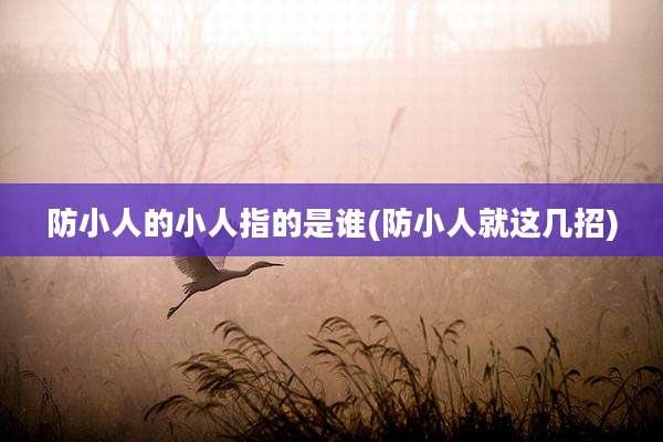 防小人的小人指的是谁(防小人就这几招)