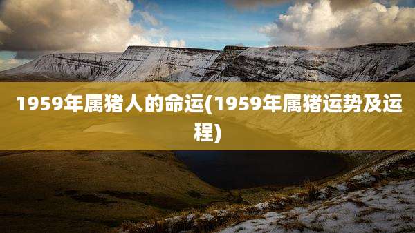 1959年属猪人的命运(1959年属猪运势及运程)