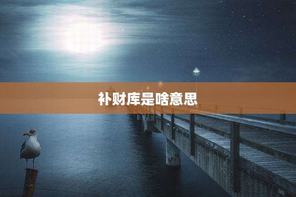 补财库是啥意思