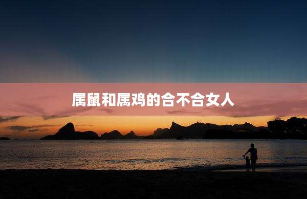 属鼠和属鸡的合不合女人