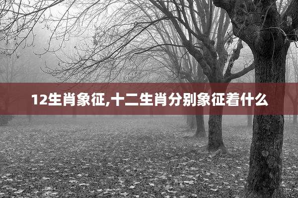 12生肖象征,十二生肖分别象征着什么