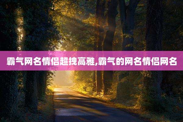 霸气网名情侣超拽高雅,霸气的网名情侣网名