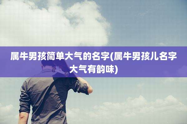 属牛男孩简单大气的名字(属牛男孩儿名字大气有韵味)
