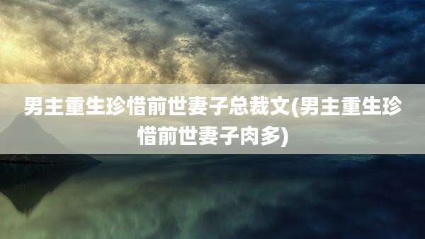 男主重生珍惜前世妻子总裁文(男主重生珍惜前世妻子肉多)