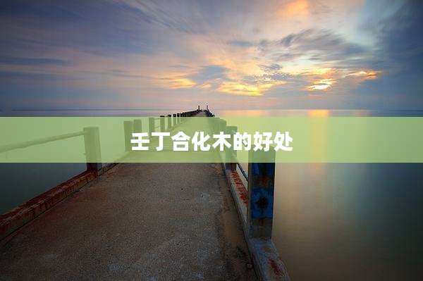 壬丁合化木的好处