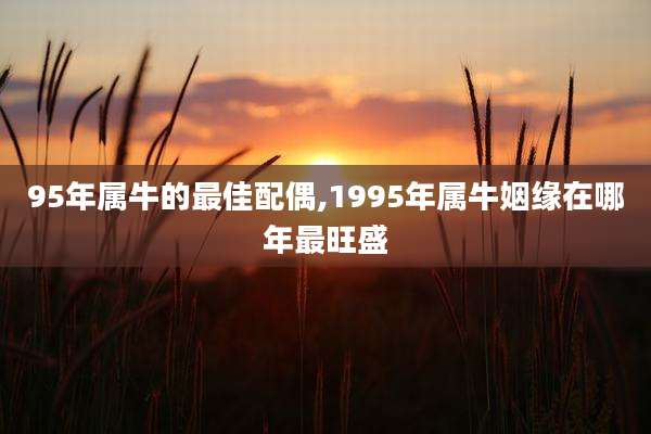 95年属牛的最佳配偶,1995年属牛姻缘在哪年最旺盛