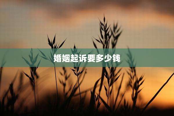 婚姻起诉要多少钱
