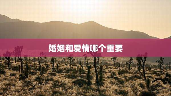 婚姻和爱情哪个重要