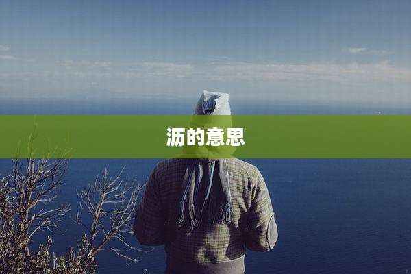沥的意思