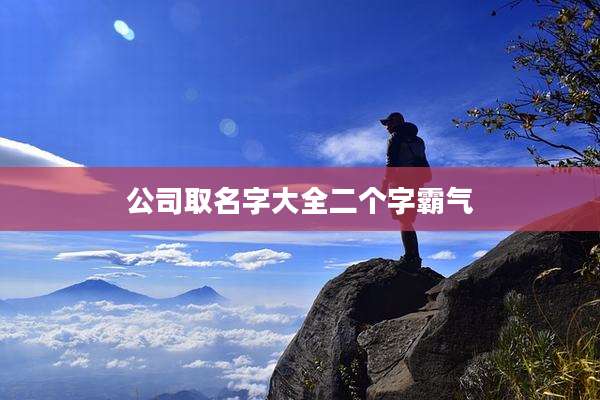 公司取名字大全二个字霸气