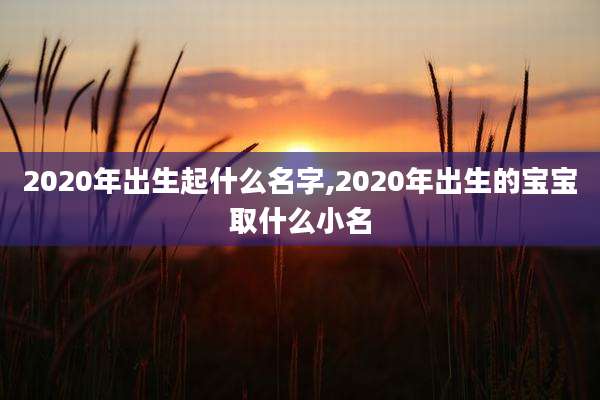2020年出生起什么名字,2020年出生的宝宝取什么小名