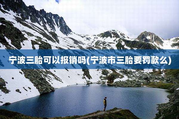宁波三胎可以报销吗(宁波市三胎要罚款么)