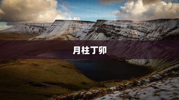 月柱丁卯
