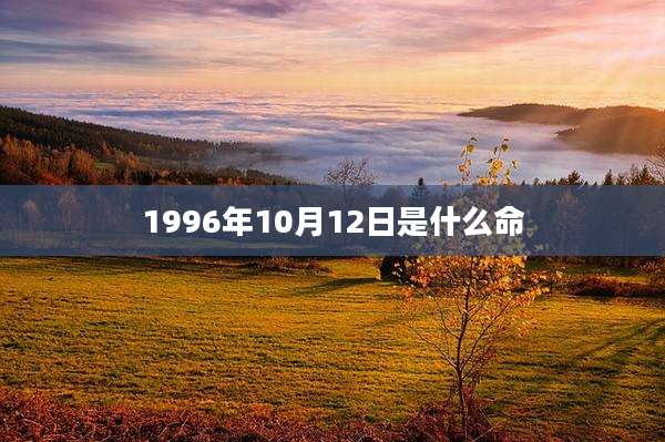 1996年10月12日是什么命