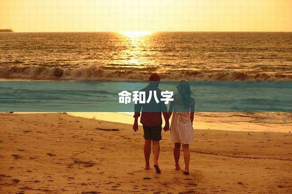 命和八字