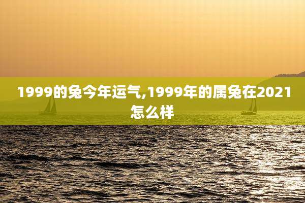 1999的兔今年运气,1999年的属兔在2021怎么样