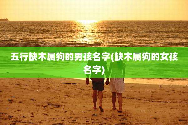 五行缺木属狗的男孩名字(缺木属狗的女孩名字)