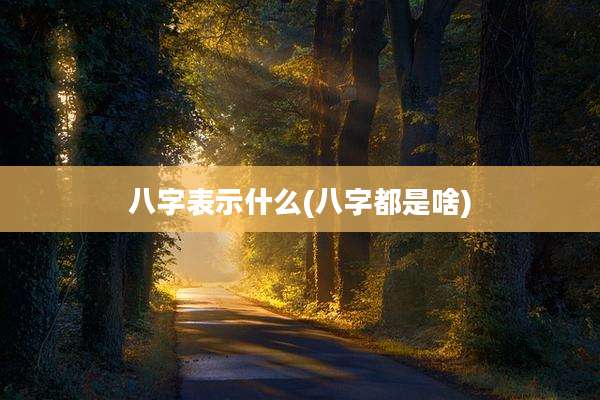八字表示什么(八字都是啥)