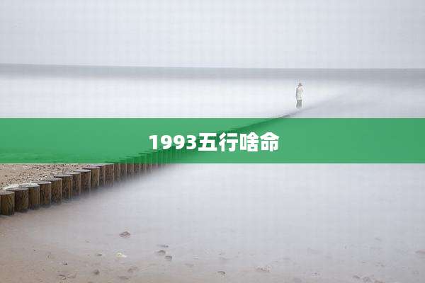 1993五行啥命