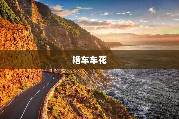 婚车车花
