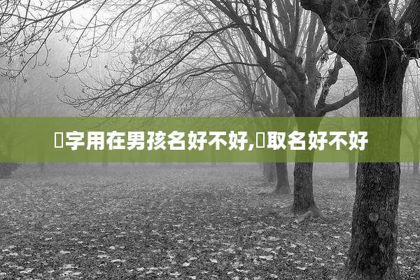 瑀字用在男孩名好不好,瑀取名好不好